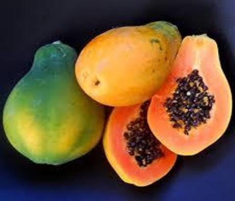 Pawpaw (Big)